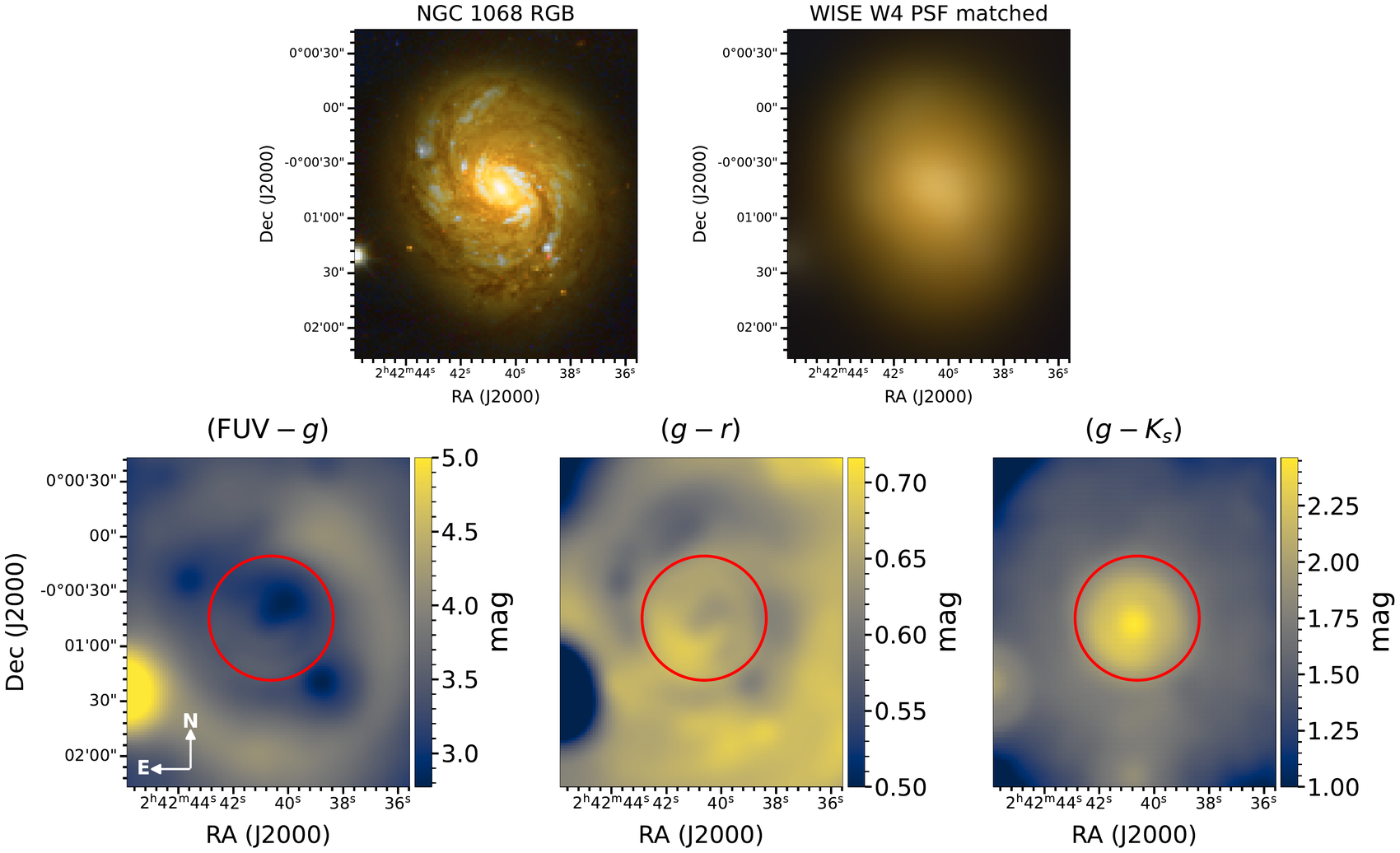 Multi-wavelength view and resolved color maps of the galaxy M77